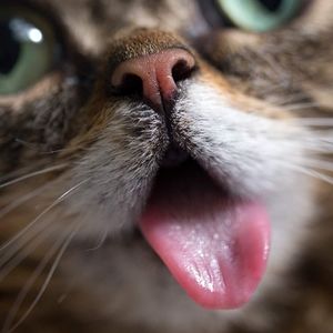 Meet your Posher, Dustin